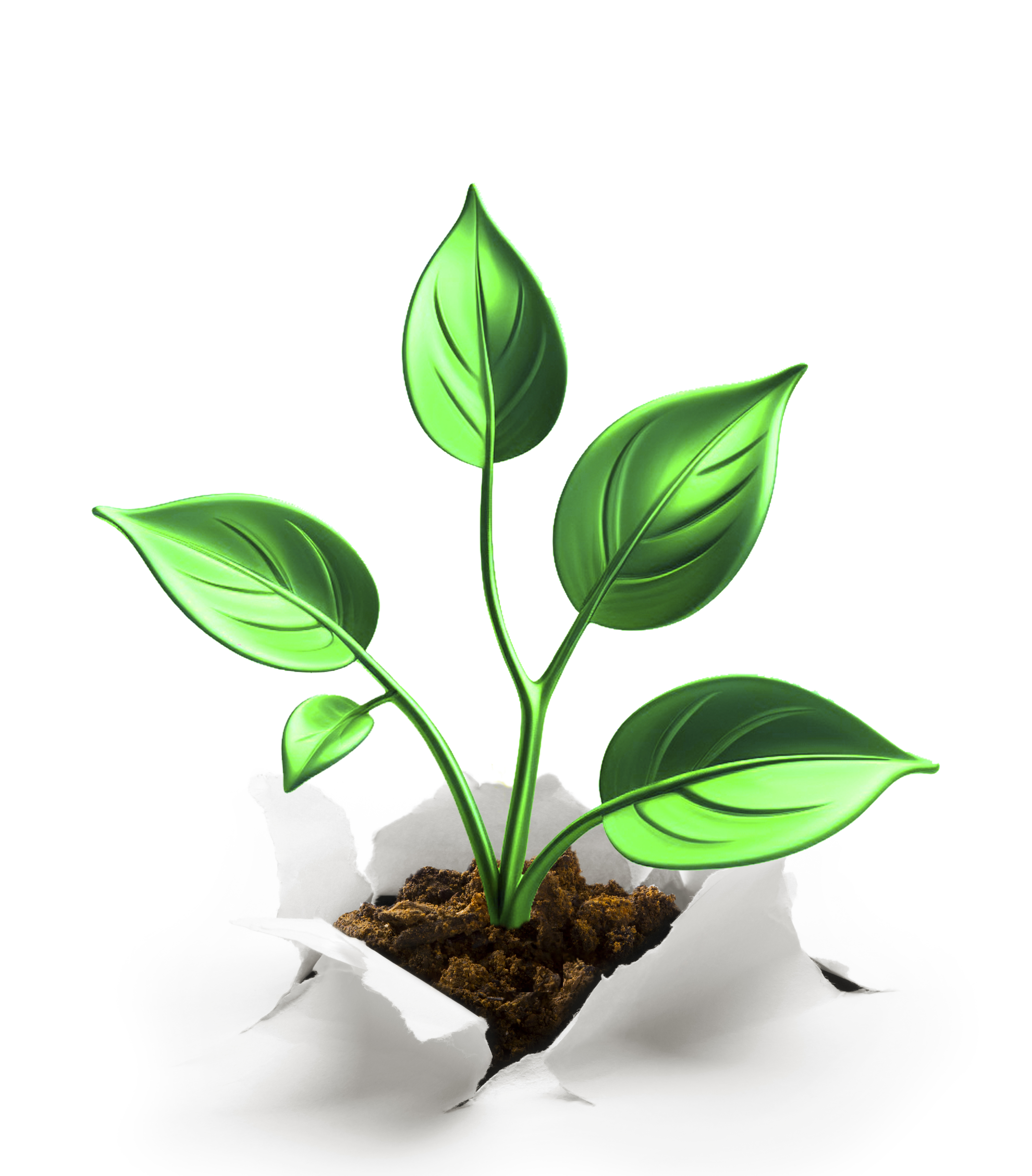 Green Sustainability